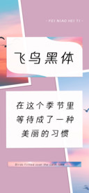 飞鸟黑体