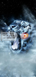 3D视觉虎啸