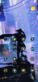 Cyber warrior V