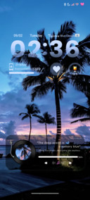 ins Coconut Grove