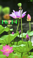 新莲花净