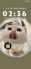 Cat Open The Door