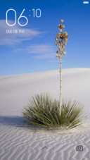 Desert