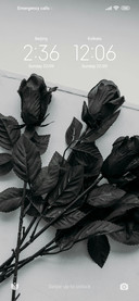 Blackroses
