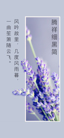 腾祥细黑简