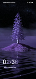 3D Image
