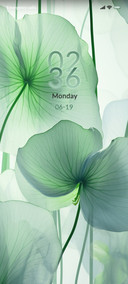 Green Lotus Leaf