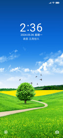 宁静的夏天