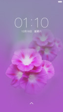 牵牛花【爱情永固】