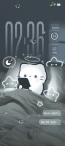 ins自定义 晚安小猫