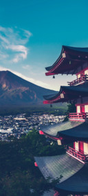 AP景深 宠物岛