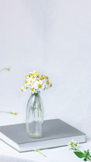 A Bunch of Chamomile Flowers