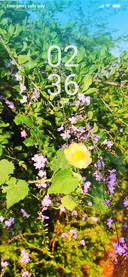 Sanp_DWM3