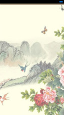 牡丹花
