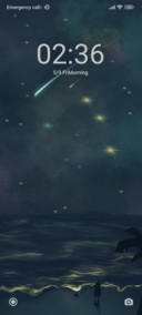 seaside starry sky