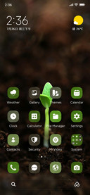 Root