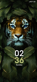 Hidden Tiger