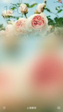 花海