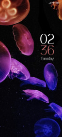 Amoled Jelly