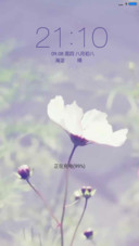 花清新