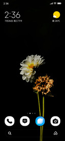 Snow Garden