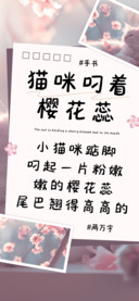 猫咪叼着樱花蕊