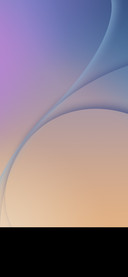 VivoX