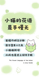小猫的花语是手慢无