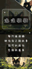 流浪猫猫