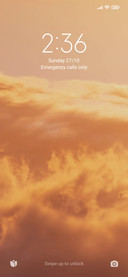Skygold