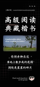 高级阅读典藏楷书