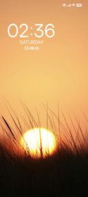 Tall Grass