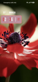 Anemone