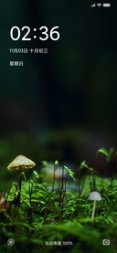 稚嫩小清新