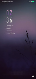 Violet NIght