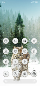 Leopard Snow_3MDS