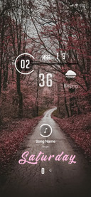 Forest_bridge_1