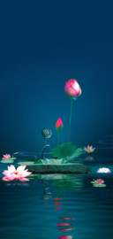 荷