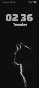 Feline Outline