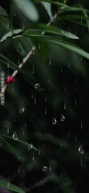 绿春