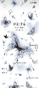 梦幻蝶之恋
