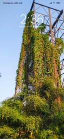Iron Grass_DWM3