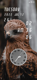 Falcon