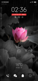 夏·雨·荷