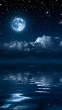 Romantic night sky-05