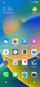 iPhone Max