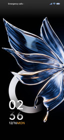 Glass Butterfly
