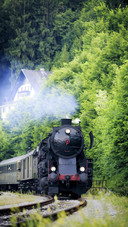 Steam Locomotive Train in Forest