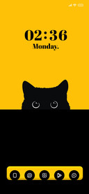 Yellow Cat