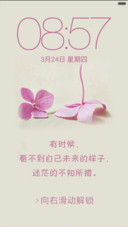 爱情四叶草（标准版）
